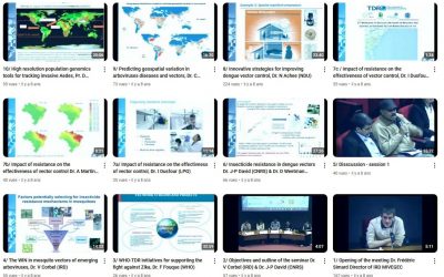 [Learn] Scientific seminar on Arboviruses & Insecticide resistance is online