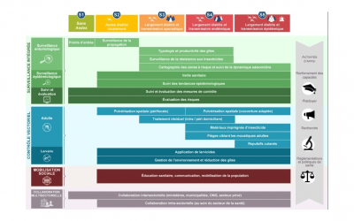 Conceptual framework of the IAM system available in Spanish & French