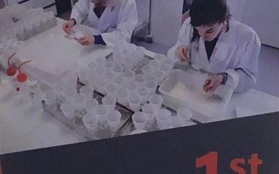 1st European workshop on testing procedures for monitoring and managing insecticide resistance in invasive mosquitoes