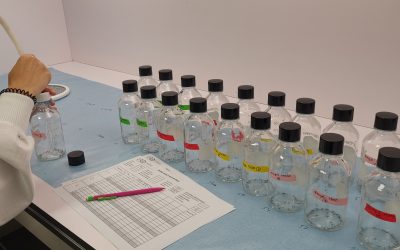 A new WHO bottle bioassay method to assess the susceptibility of mosquito vectors to public health insecticides: results from a WHO-coordinated multi-centre study