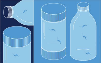 The new WHO report of the multi-centre study on Culex vectors