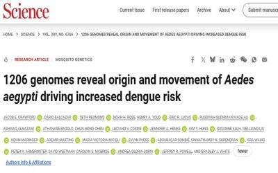 SCIENCE  Jacob E. Crawford & Al « 1206 genomes reveal origin and movement of Aedes aegypti driving increased dengue risk »