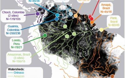 Population genomics of Anopheles darlingi, the principal South American malaria vector mosquito : The WINSA network members publication