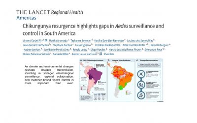 Chikungunya resurgence highlights gaps in Aedes surveillance and control in South America